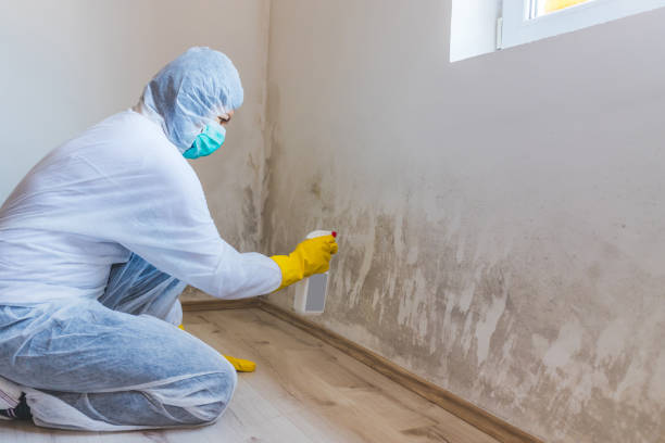 Mold Remediation specialist working in Leander