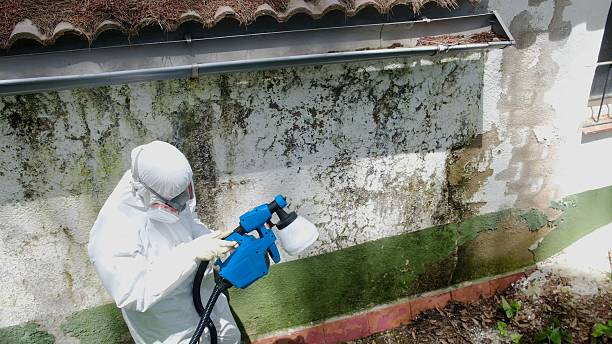 Mold Remediation service in Leander, Leander, TX